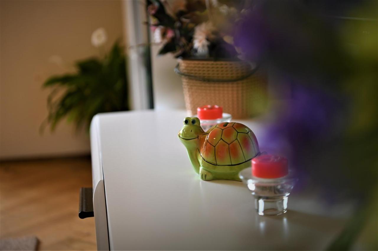 Marin Hotel Apartment Braşov Dış mekan fotoğraf